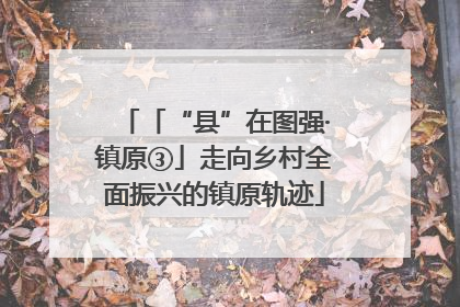 「“县”在图强·镇原③」走向乡村全面振兴的镇原轨迹