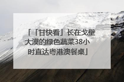 「甘快看」长在戈壁大漠的绿色蔬菜38小时直达粤港澳餐桌