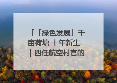 「绿色发展」千亩荷塘 十年新生｜四任航空村官的“生态接力”