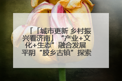 「城市更新 乡村振兴看济南」“产业+文化+生态”融合发展 平阴“胶乡古镇”探索振兴路径成效显著