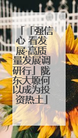 「强信心 看发展·高质量发展调研行」陇东大塬何以成为投资热土