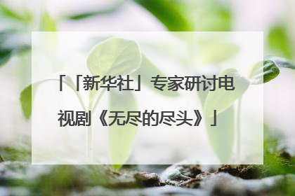 「新华社」专家研讨电视剧《无尽的尽头》