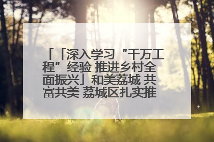 「深入学习“千万工程”经验 推进乡村全面振兴」和美荔城 共富共美 荔城区扎实推进乡村振兴工作