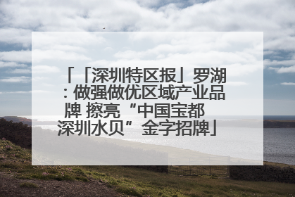 「深圳特区报」罗湖：做强做优区域产业品牌 擦亮“中国宝都 深圳水贝”金字招牌