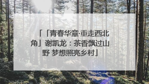 「青春华章·重走西北角」谢凯龙：茶香飘过山野 梦想照亮乡村