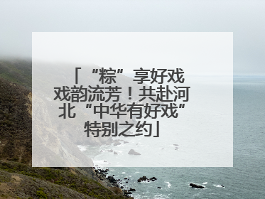 “粽”享好戏 戏韵流芳！共赴河北“中华有好戏”特别之约