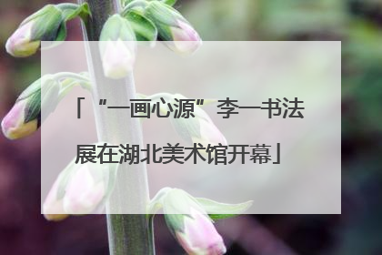 “一画心源”李一书法展在湖北美术馆开幕