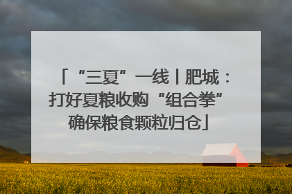 “三夏”一线丨肥城：打好夏粮收购“组合拳” 确保粮食颗粒归仓