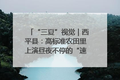 “三夏”视觉｜西平县：高标准农田里上演昼夜不停的“速度与激情”