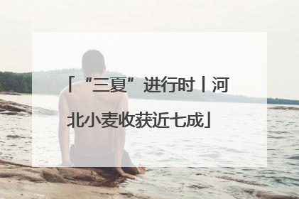 “三夏”进行时丨河北小麦收获近七成