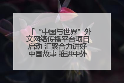 “中国与世界”外文网络传播平台项目启动 汇聚合力讲好中国故事 推进中外文明交流互鉴