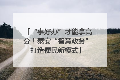 “事好办”才能拿高分！泰安“智慧政务”打造便民新模式