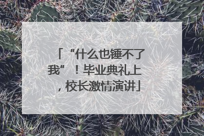 “什么也锤不了我”！毕业典礼上，校长激情演讲