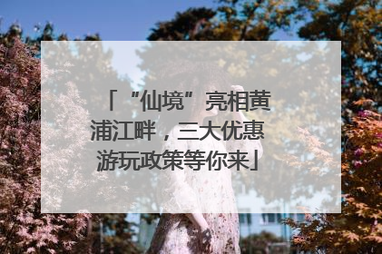 “仙境”亮相黄浦江畔，三大优惠游玩政策等你来