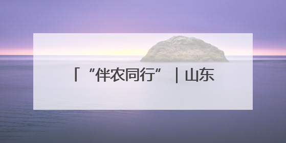 “伴农同行”｜山东农担公司助力菏泽巨野蛋鸡产业高质量发展