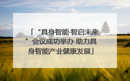 “具身智能·智启未来”会议成功举办 助力具身智能产业健康发展