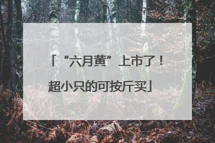 “六月黄”上市了！超小只的可按斤买