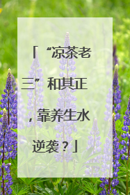 “凉茶老三”和其正，靠养生水逆袭？