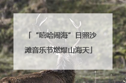“嘻哈闹海”日照沙滩音乐节燃爆山海天