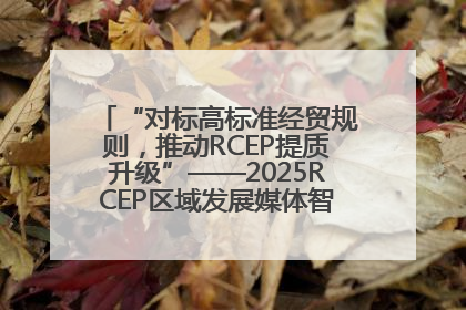 “对标高标准经贸规则，推动RCEP提质升级”——2025RCEP区域发展媒体智库论坛举行专题对话