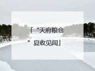 “天府粮仓”夏收见闻