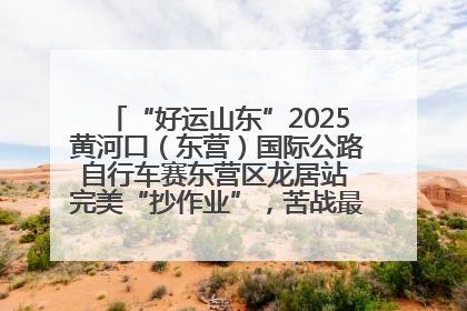 “好运山东”2025黄河口（东营）国际公路自行车赛东营区龙居站 完美“抄作业”，苦战最后时刻黄衫易主