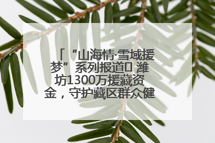 “山海情·雪域援梦”系列报道⑪ 潍坊1300万援藏资金，守护藏区群众健康“最后一公里”
