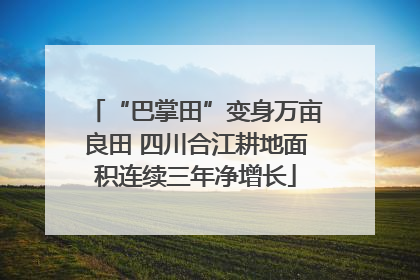 “巴掌田”变身万亩良田 四川合江耕地面积连续三年净增长