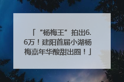 “杨梅王”拍出6.6万！建阳首届小湖杨梅嘉年华酸甜出圈！