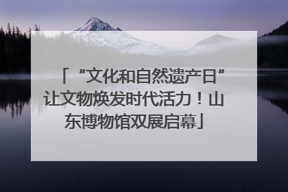 “文化和自然遗产日”让文物焕发时代活力！山东博物馆双展启幕