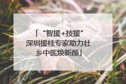 “智援+技援” 深圳援桂专家助力壮乡中医焕新颜