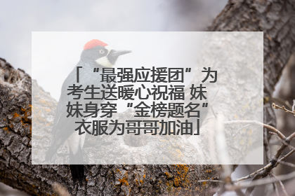 “最强应援团”为考生送暖心祝福 妹妹身穿“金榜题名”衣服为哥哥加油