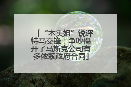 “木头姐”锐评特马交锋：争吵揭开了马斯克公司有多依赖政府合同