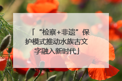“检察+非遗”保护模式推动水族古文字融入新时代