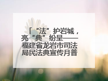“法”护岩城，亮“典”纷呈——福建省龙岩市司法局民法典宣传月普法活动纪实