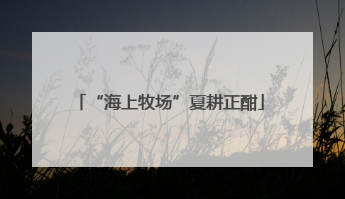 “海上牧场”夏耕正酣