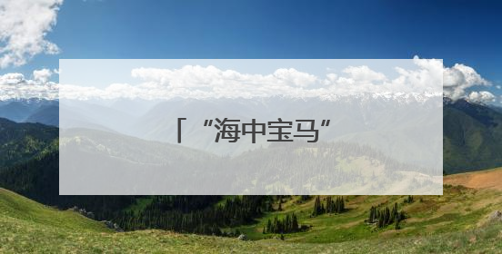 “海中宝马”游进霞浦盐田