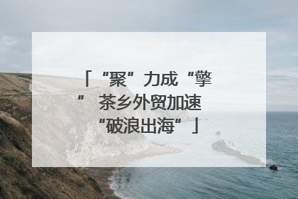 “聚”力成“擎” 茶乡外贸加速“破浪出海”