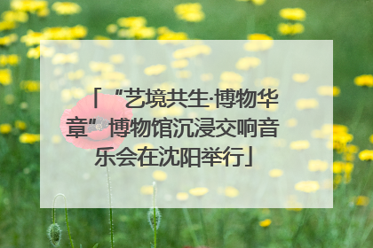 “艺境共生·博物华章”博物馆沉浸交响音乐会在沈阳举行