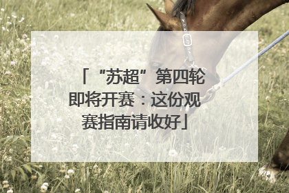 “苏超”第四轮即将开赛：这份观赛指南请收好