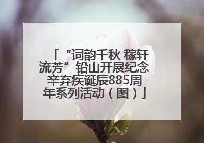 “词韵千秋 稼轩流芳”铅山开展纪念辛弃疾诞辰885周年系列活动（图）