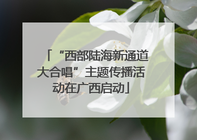 “西部陆海新通道大合唱”主题传播活动在广西启动