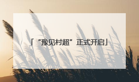 “豫见村超”正式开启