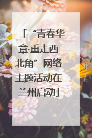 “青春华章·重走西北角”网络主题活动在兰州启动