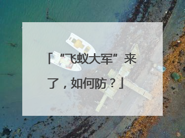 “飞蚁大军”来了，如何防？
