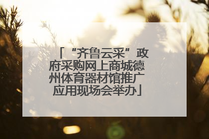 “齐鲁云采”政府采购网上商城德州体育器材馆推广应用现场会举办