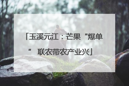 玉溪元江：芒果“爆单” 联农带农产业兴