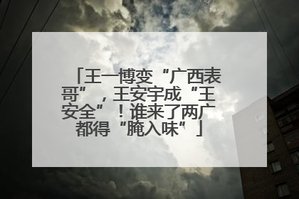 王一博变“广西表哥”，王安宇成“王安全”！谁来了两广都得“腌入味”