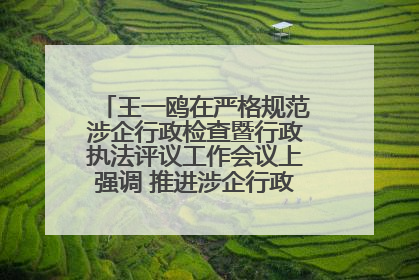 王一鸥在严格规范涉企行政检查暨行政执法评议工作会议上强调 推进涉企行政检查质效大幅提升