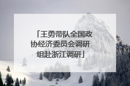 王勇带队全国政协经济委员会调研组赴浙江调研